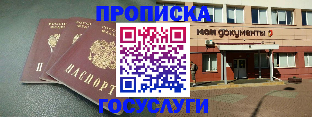 временная регистрация надежно в Камчатской области